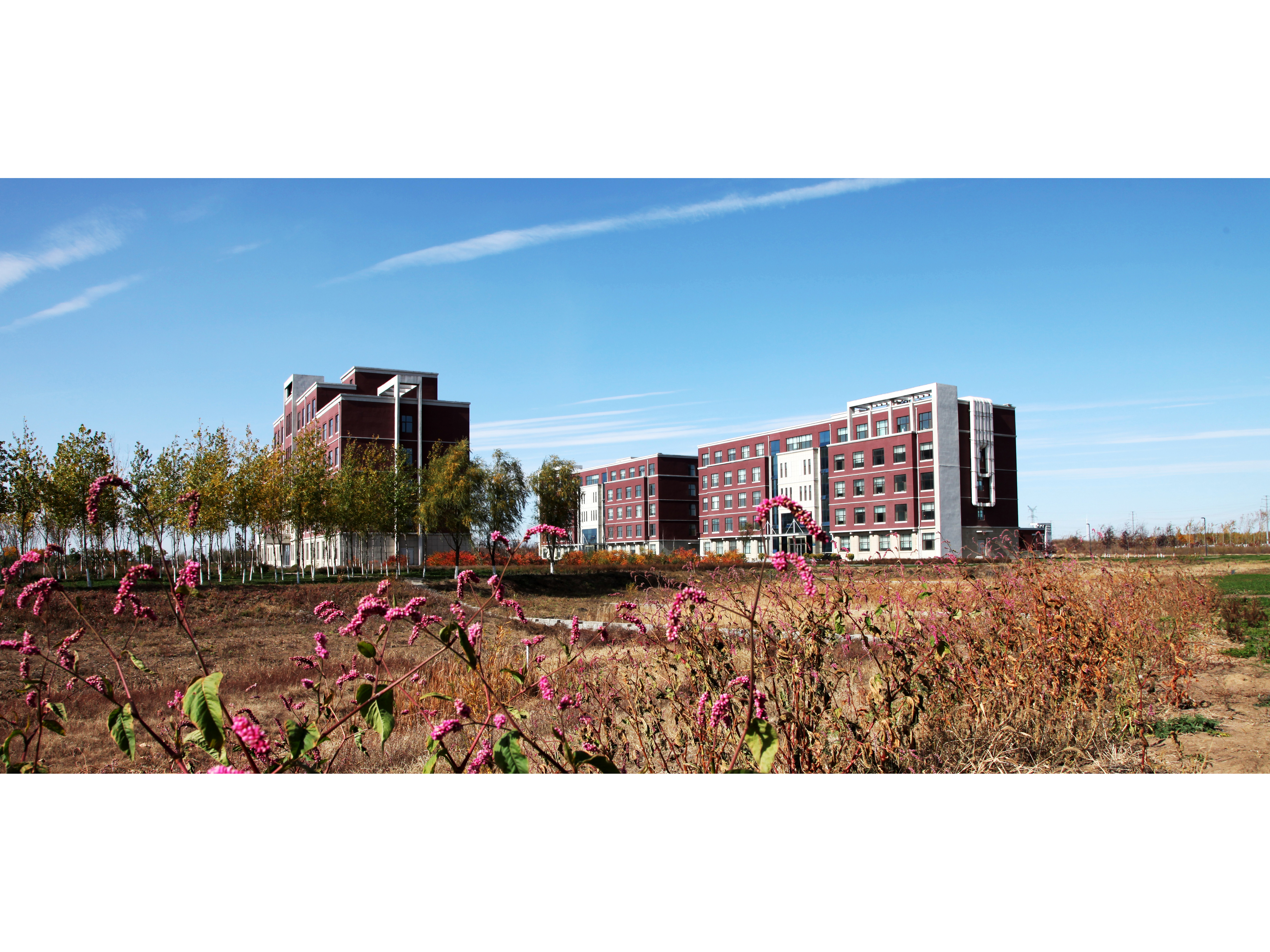 秋景（地理綜合樓、濕地樓、環境樓）